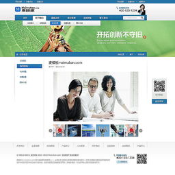 企業(yè)網(wǎng)站設(shè)計(jì)的藝術(shù)與策略 打造高效溝通的數(shù)字門戶